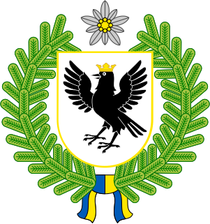 <span class="mw-page-title-main">Ivano-Frankivsk Oblast Football Federation</span>