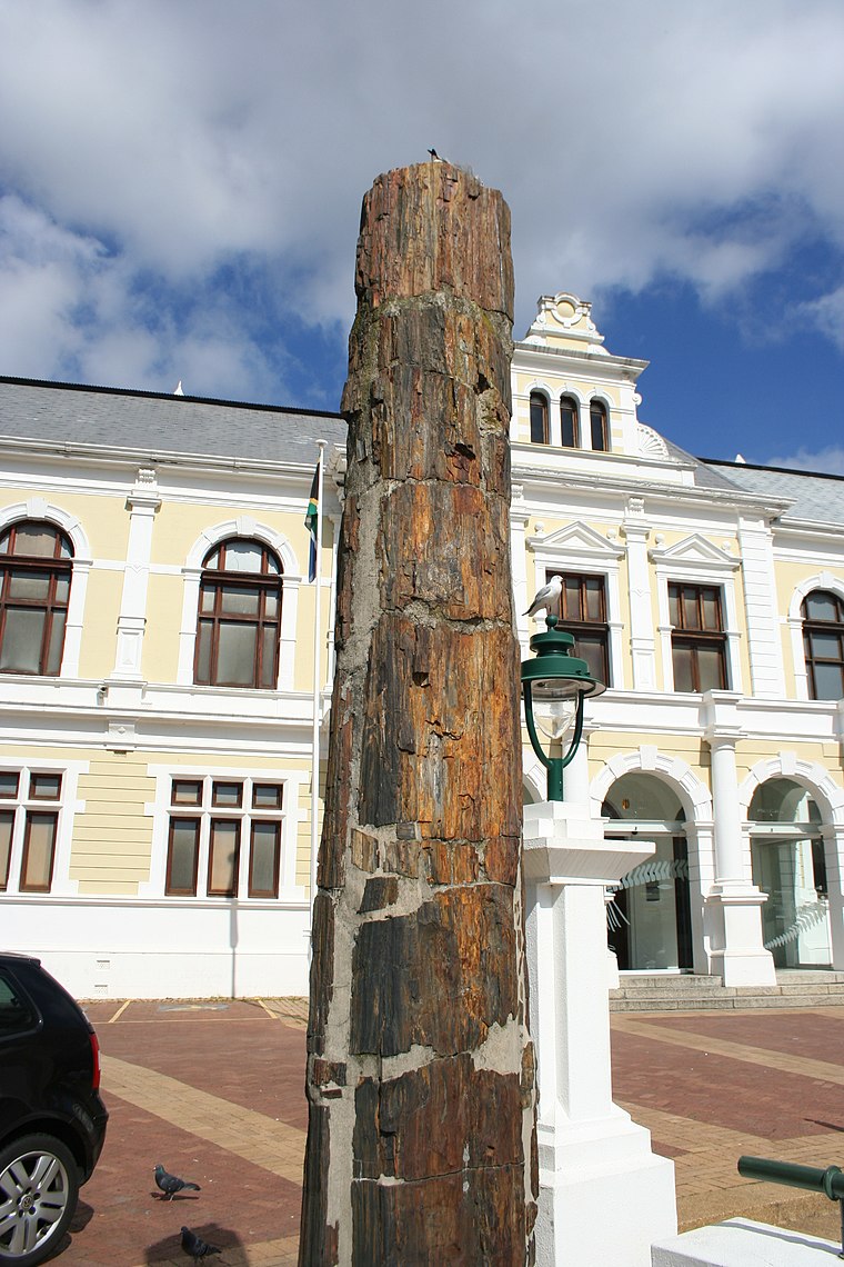 Iziko South African Museum