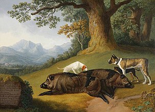 Dead Boar with a Mastiff and Two Other Dogs (1795)★