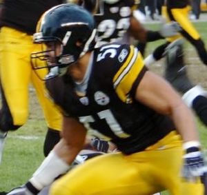 Troy Polamalu - Wikipedia