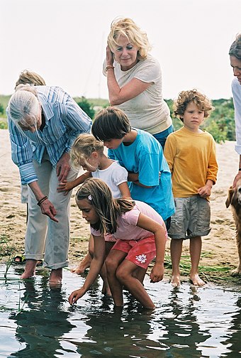 Goodall teaching about wetlands in Martha's Vineyard, US, 2006