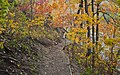 Jardín Botánico Jerry E. Clegg, Lafayette, Indiana, Estados Unidos, 2012-10-15, DD 03.jpg