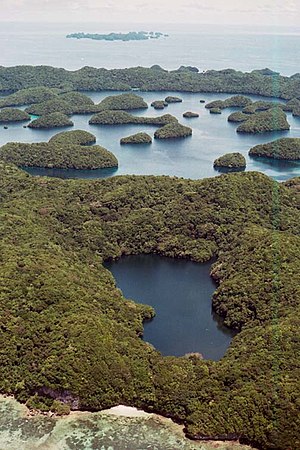 Jellyfish Lake aerial nps.jpg