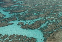 Un arrecife de coral frente a la isla Juan de Nova.