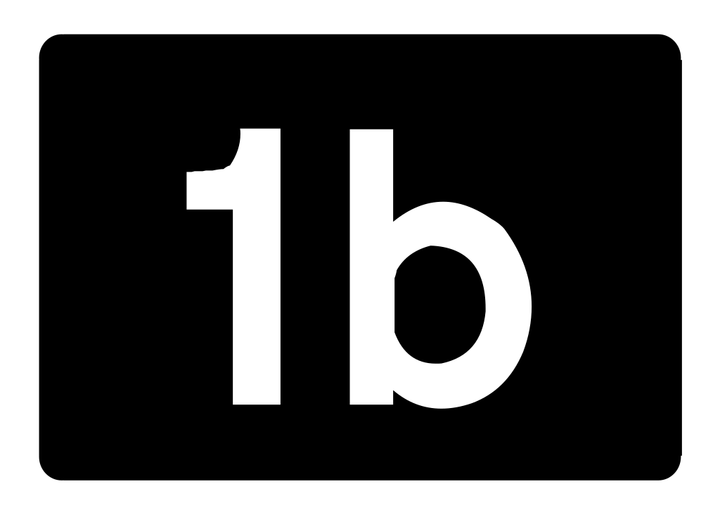 B svg