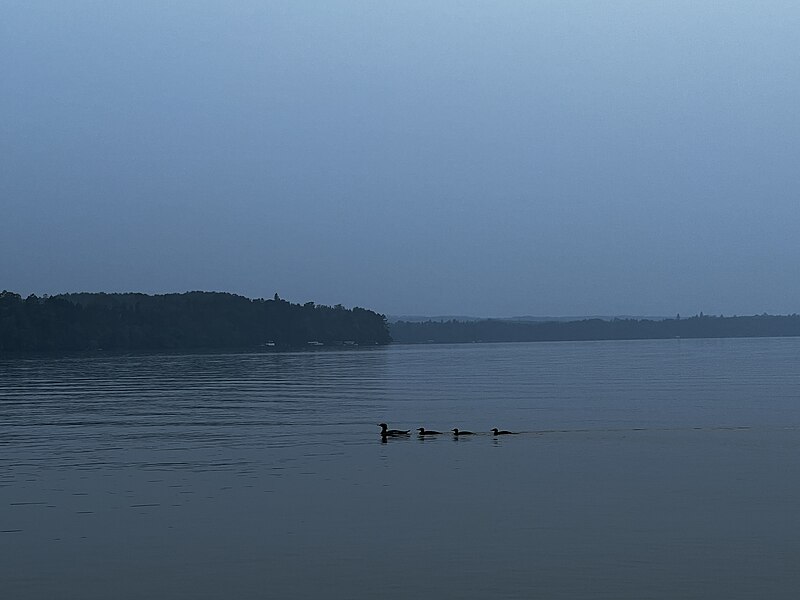 File:Kabekona Lake.jpg