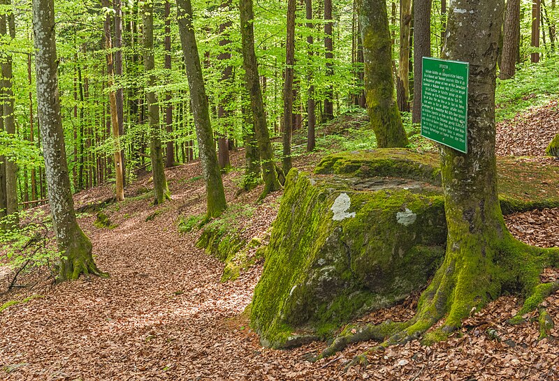 File:Keutschach Plaschischen Opferstein 19042024 4874.jpg