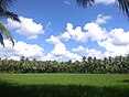 Coastal Andhra