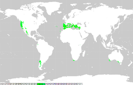 中学校社会 地理 世界の気候 Wikibooks