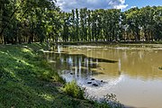 English: Kuncaŭščyna pond. Minsk, Belarus Беларуская: Стаў Кунцаўшчына. Мінск, Беларусь Русский: Пруд Кунцевщина. Минск, Беларусь