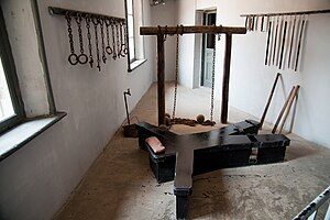 Torture: Méthodes et instruments, Historique, Conséquences sanitaires