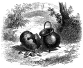 La Fontaine - Fables, Bernardin-Bechet, 1874 p0171.png