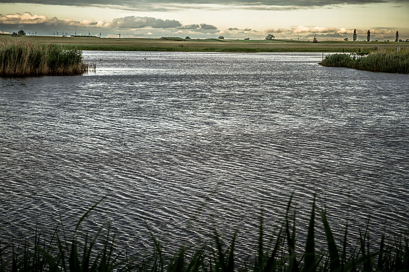 File:Lacke Neusiedlersee 3.jpg