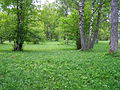 Thumbnail for Wooded meadow