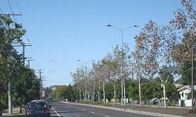 Leichhardt1.JPG