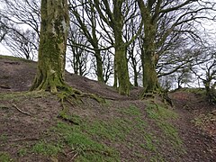 Lemonstown Motte, County Wicklow, Ireland. 6.jpg