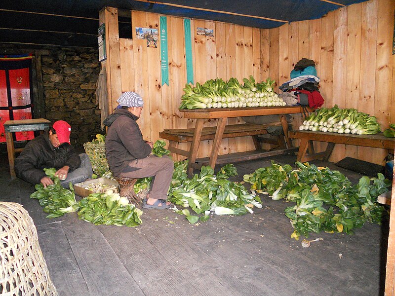 File:Lettuce in Nepal.jpg