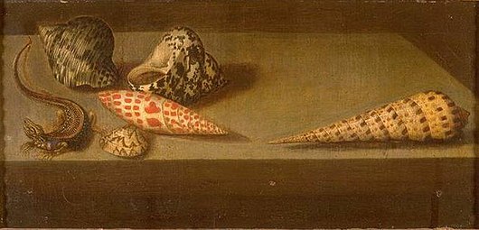 Balthasar van der Ast, Lézards et coquillages (1593/1594–1657).