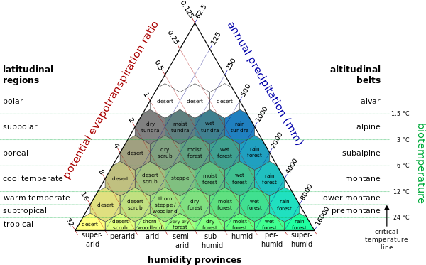 Diagram of life zone classifications.