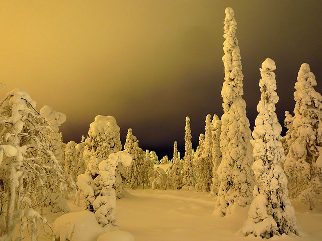 Light pollution on a ski slope in Finland gives the area a hazy, brightened sky.