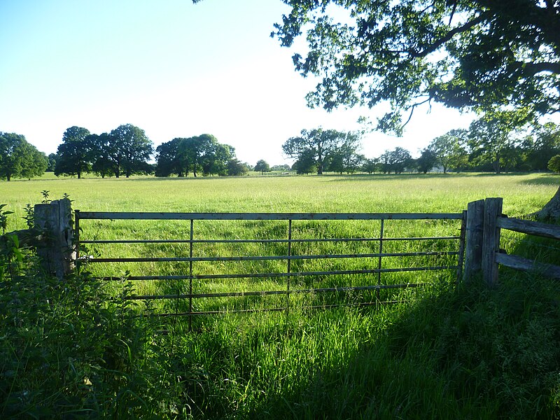 File:Looking over a gate near Underriver House - geograph.org.uk - 4020213.jpg