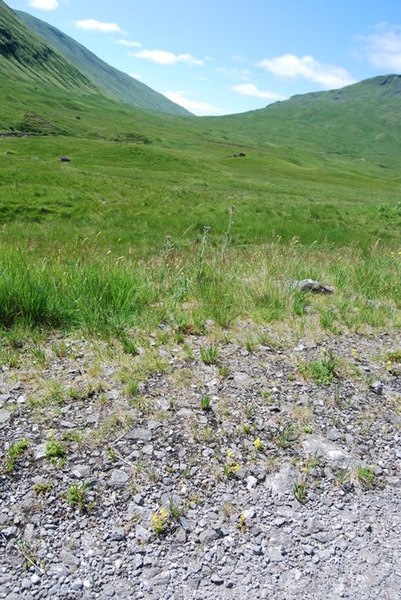 File:Looking up the Allt Challum on a hot summer's day - geograph.org.uk - 1394785.jpg