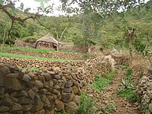 The upper part of Gumuara village in Dogu'a Tembien (Ethiopia) is located on the Ashangi Basalts, as can be seen from the typical building materials of houses and fences Lower basalt - La'ilay Gumuara.jpg