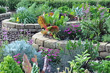 The Edible Gardens contain dooryard tropical fruit trees, vegetables, herbs and consumable flowers MBG6.JPG