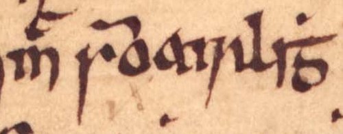 The name of Mac Somhairle, a man who may be identical to Ruaidhrí himself, as it appears on folio 67r of Oxford Bodleian Library Rawlinson B 489.