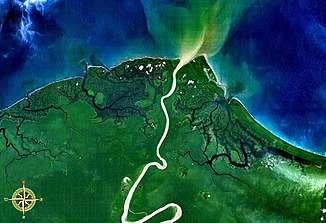 Delta del estuario del Mamberamo