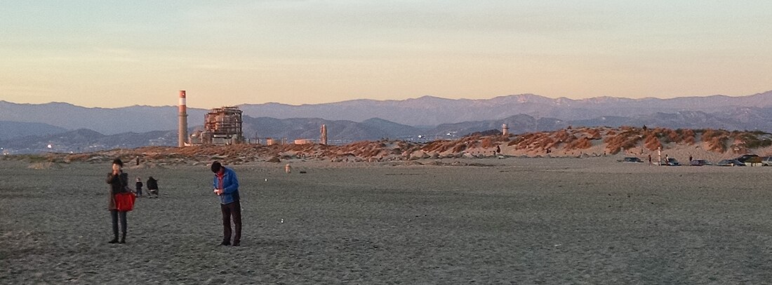 Mandalay State Beach