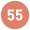 pictogram 55