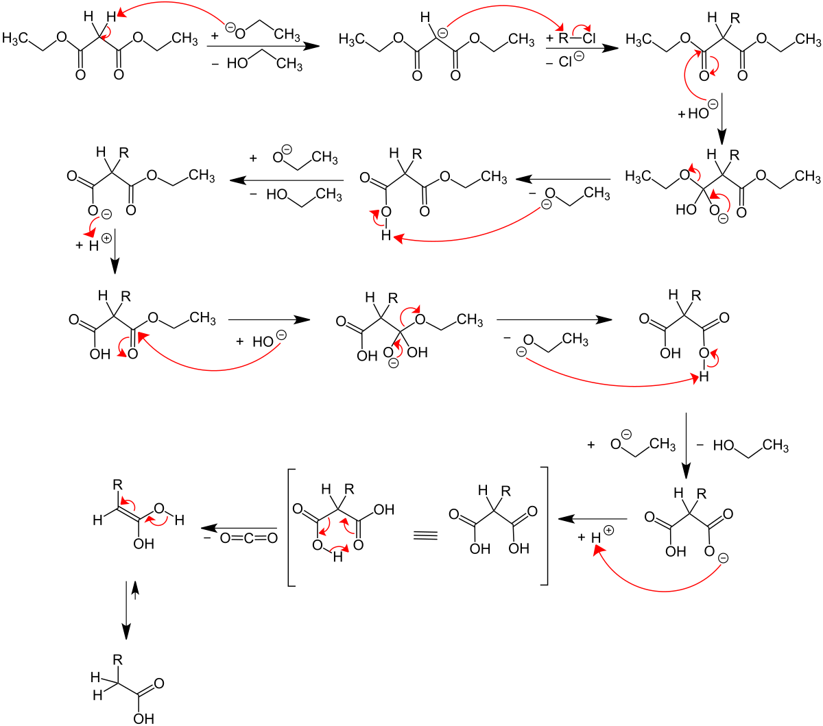 Mechanismus Malonestersynthese V4.svg