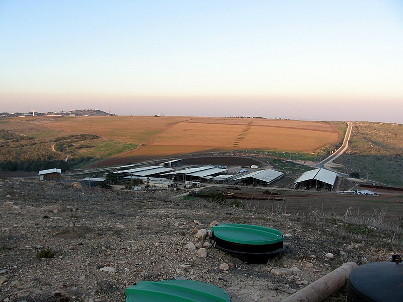 File:Merom Gilboa Dairy - Meirav2011.jpg