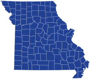 Missouri Democratic presidential primary election results by county, 2020.svg