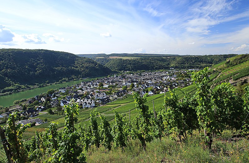 File:Moselgebiet bei Winningen. Rheinland-Pfalz 2H1A5458WI.jpg