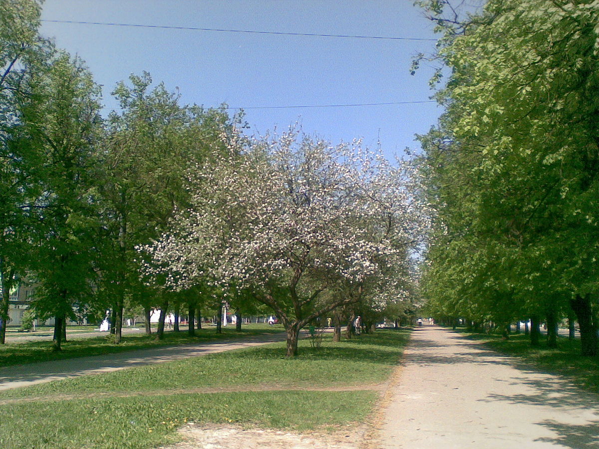 Фото среда новомосковск