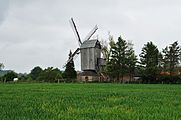 Houtkerque, Nord, France Moulin de l'Hofland encore appelé moulin d'Accou (2016)(vu de dos).