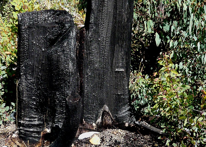 File:Mount Buffalo National Park 48.jpg