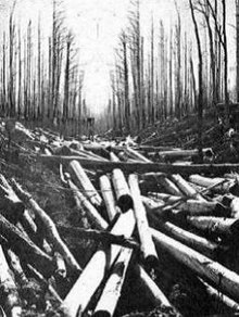 Mundic savage log dump near Noojee in West Gippsland - 1941. Source: FCRPA* collection Mundic.jpg
