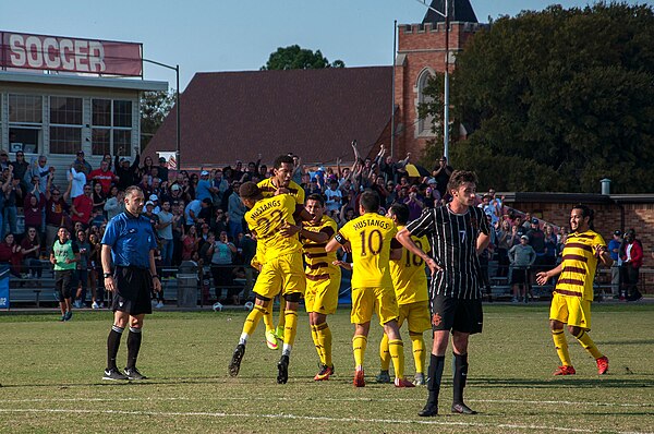 The Midwestern State University Mustangs celebrate after scoring a late-goal during the 2016 playoffs.