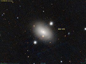 Image illustrative de l’article NGC 1370