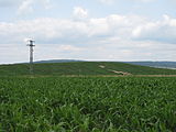 Čeština: Louka a pole v přírodní památce Vosek. Okres Rokycany, Česká republika. English: Meadow and field in natural memorial Vosek, Rokycany District, Czech Republic.