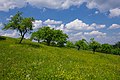 Vorschaubild der Version vom 20:05, 23. Mai 2018