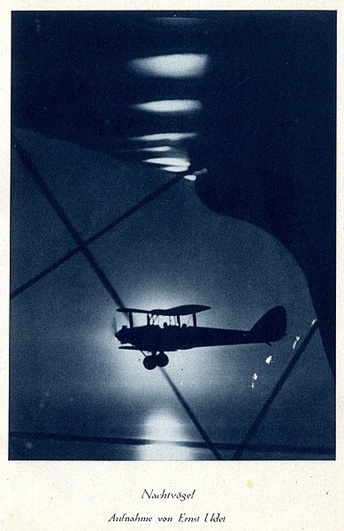 File:Nachtvögel. Aufnahme von Ernst Udet c. 1930.jpg