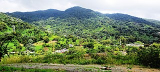 El Toro (Sierra de Luquillo) Mountain in Puerto Rico