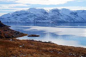 The site where the Narsaq stick was discovered. A sign gives information on the archaeological excavations. Narsaq settlement farm site.jpg