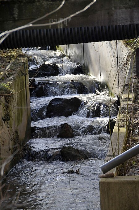 Neudietendorf Untermühle Fischtreppe