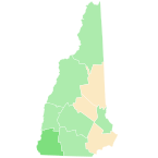 New Hampshire Democratic presidential primary election results by county (vote share), 2020.svg