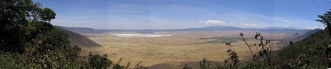 Ngorongoro: Geschichte, Klima und Vegetation, Tierwelt
